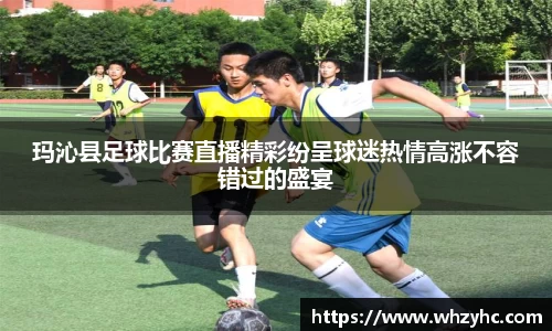玛沁县足球比赛直播精彩纷呈球迷热情高涨不容错过的盛宴