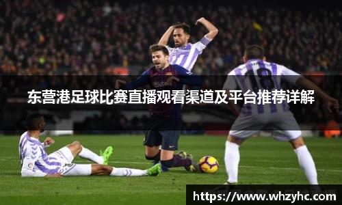 东营港足球比赛直播观看渠道及平台推荐详解